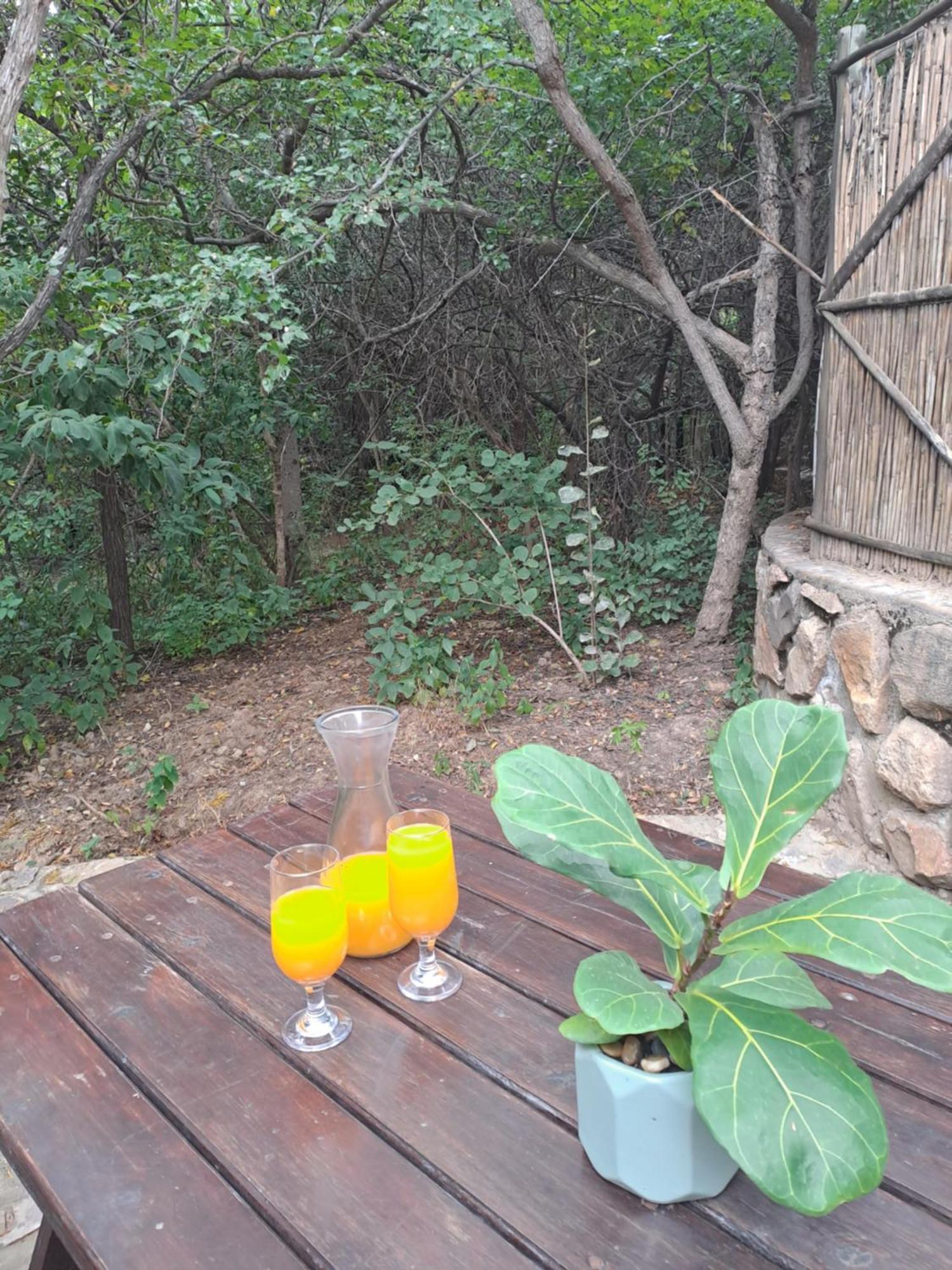 Little Bush Lodge Hoedspruit Ngoại thất bức ảnh